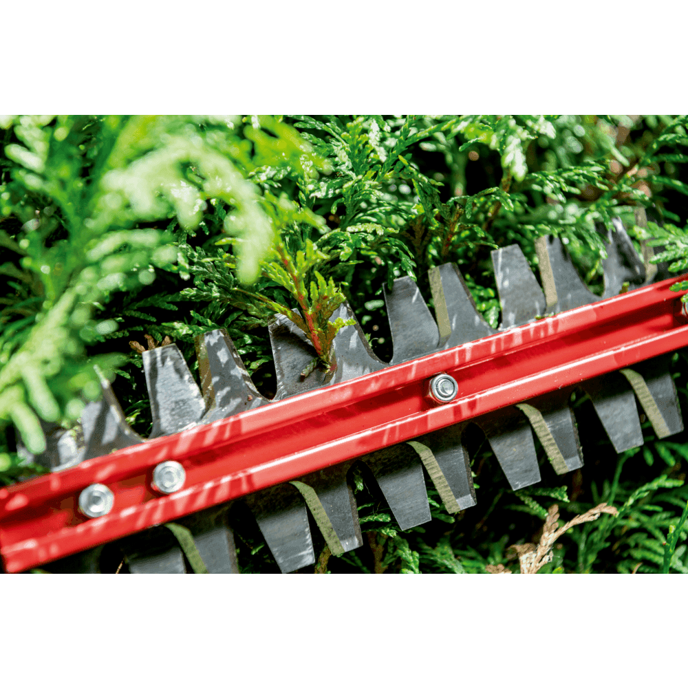 HS 18 LTX BL 55 (601722850) Akku-Heckenschere 13