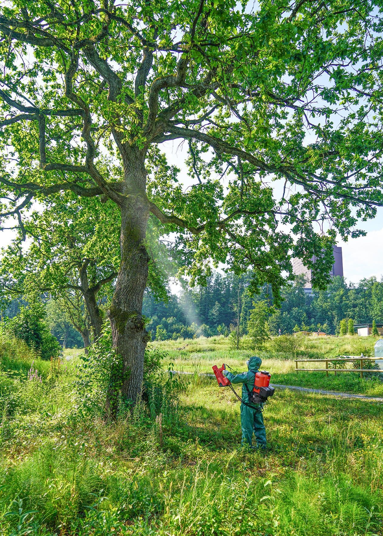 _AS 1200 AC2 Akku-Sprühgebläse (CAS ohne Akkupack, ohne Ladegerät) 3