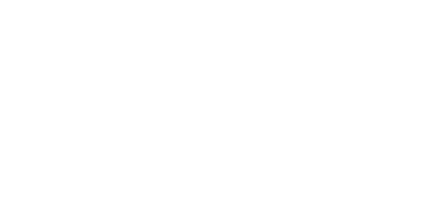 SCHMALZ