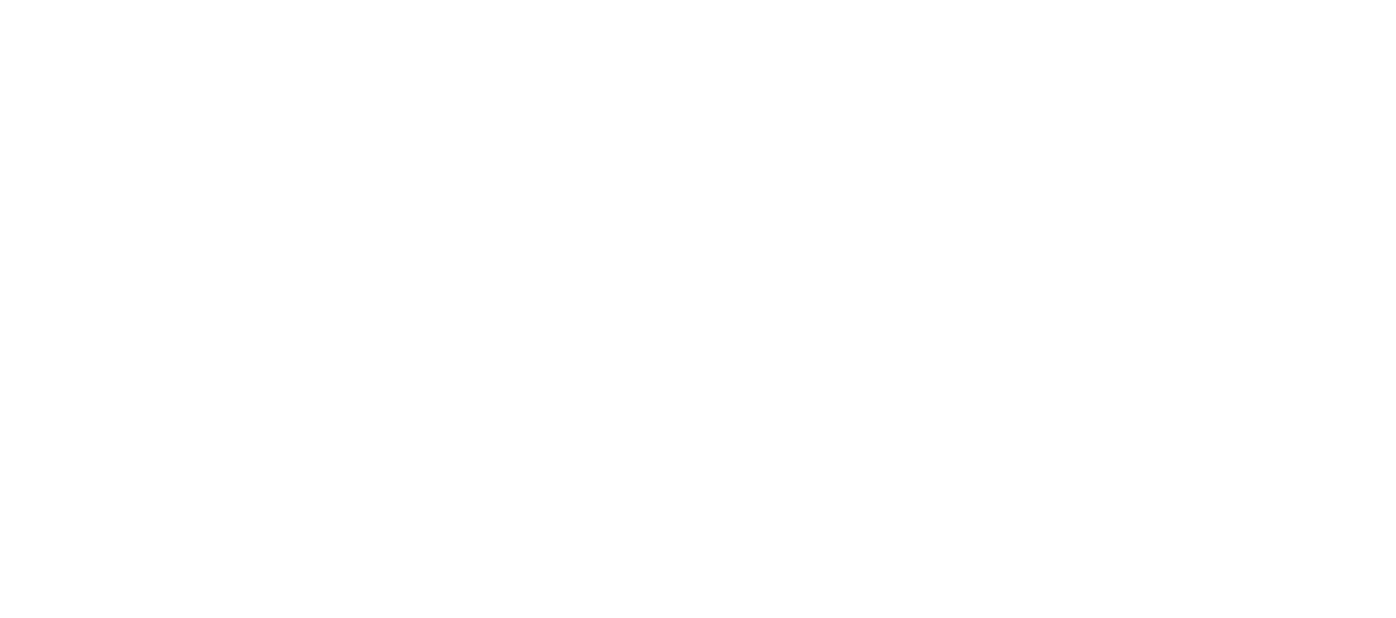 Skidata Logo
